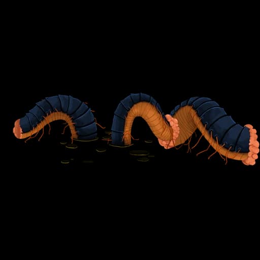 Decimillipede — Slay the Spire 2 elite