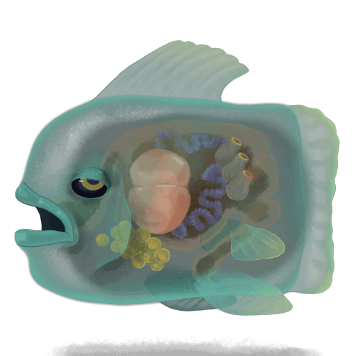 Soul Fysh — Slay the Spire 2 boss