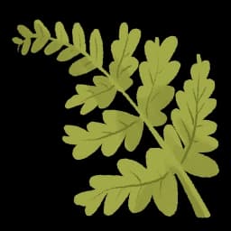 Delicate Frond - Slay the Spire 2 Relic