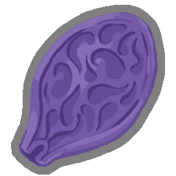 Ghost Seed — Shop shared relic in Slay the Spire 2