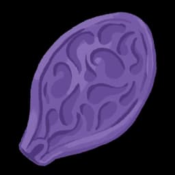 Ghost Seed - Slay the Spire 2 Relic