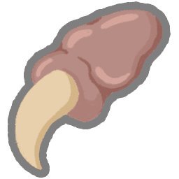 Pael's Claw — Ancient shared relic in Slay the Spire 2