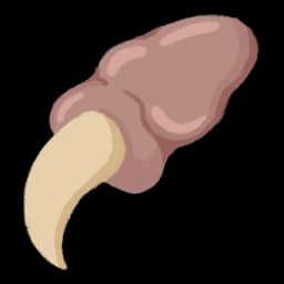 Pael's Claw - Slay the Spire 2 Relic